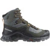 Salomon Men's Quest Element GTX -Footwear Store 3011809 001 pic1