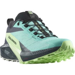 Salomon Women's Sense Ride 5 GTX Shoes -Footwear Store 3011812 001 pic2